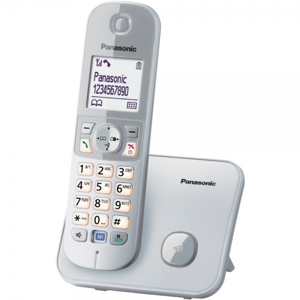 Panasonic KX-TG6811GS perlsilber schurlo #228846