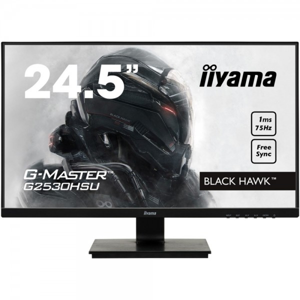 Iiyama G-Master G2530HSU-B1 (24,5 Zoll) #230175