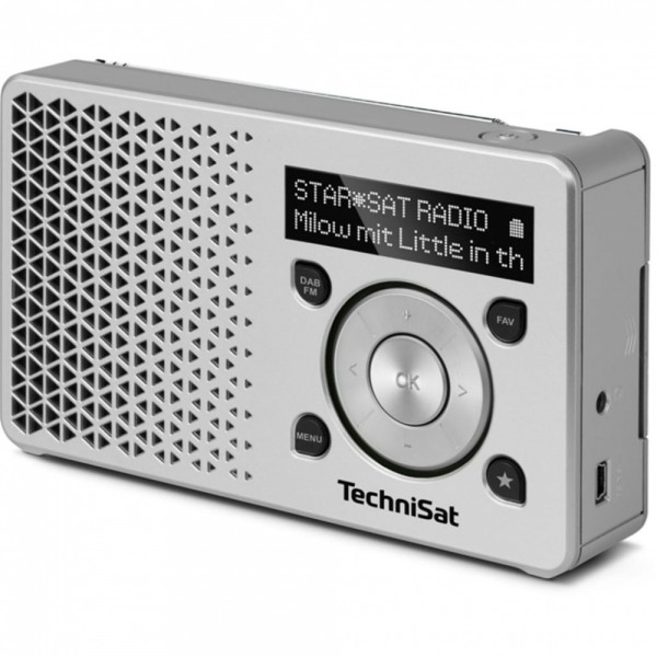 TechniSat Digitradio 1, silber/silber #93817