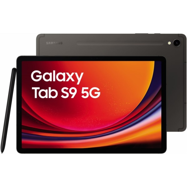 Samsung Galaxy Tab S9 X716 5G LTE 128 GB #350988