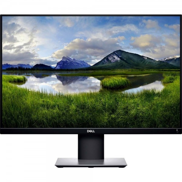 Dell 24 L P2421 LED-Monitor 24 Zoll/WUXG #271018