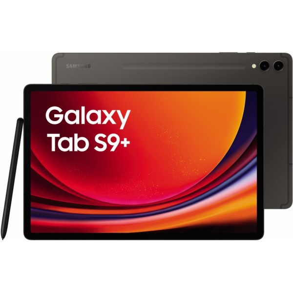 Samsung Galaxy Tab S9+ X810 WiFi 512 GB #358856
