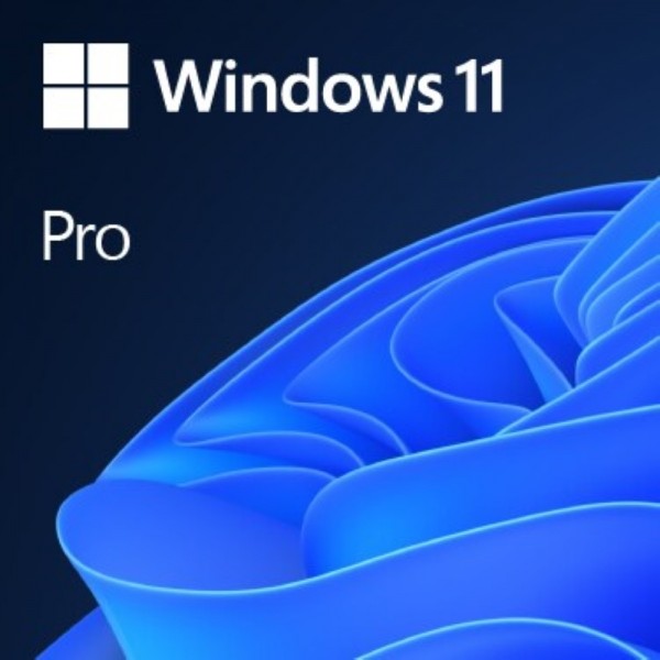 Microsoft Windows 11 Pro 64 Bit ESD Down #328857