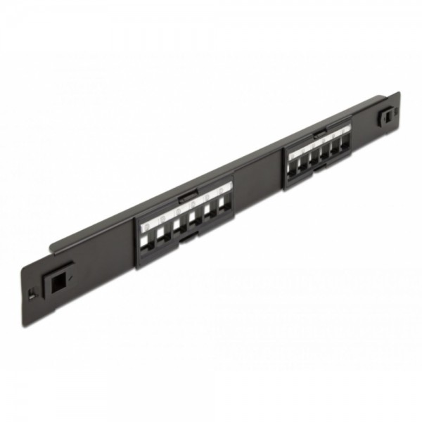 Delock 66821 - Keystone Patchpanel - 12 #322997