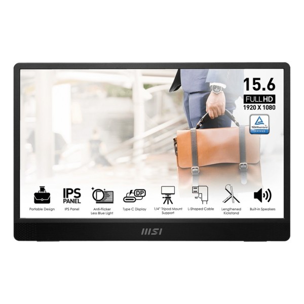 MSI PRO MP161DE - mobiler Monitor - grau #622811