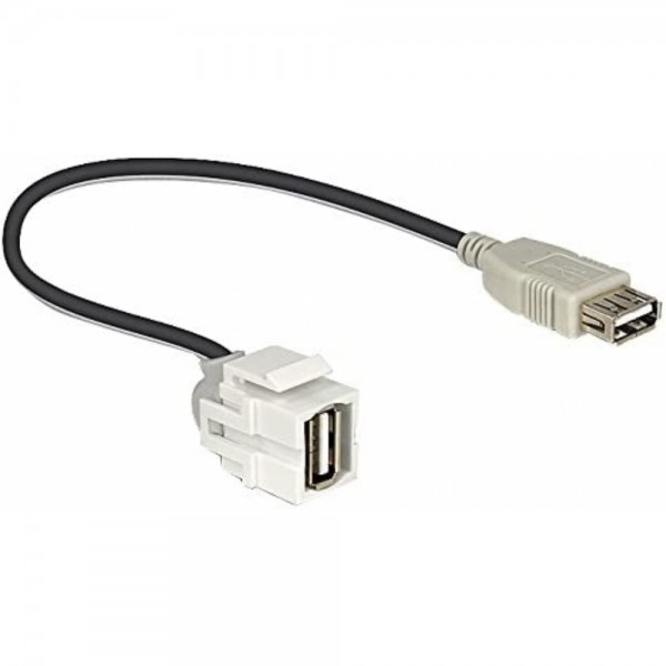 Delock 86329 - Keystone Modul USB 2.0 A #324625