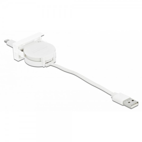 Delock Easy 45 Modul USB 2.0 - Ausrollka #323804