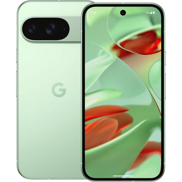 Google GA05844-GB Pixel 9 5G 256 GB / 12 #663566